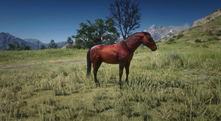 Mustangs - Red Dead Redemption 2 Mod