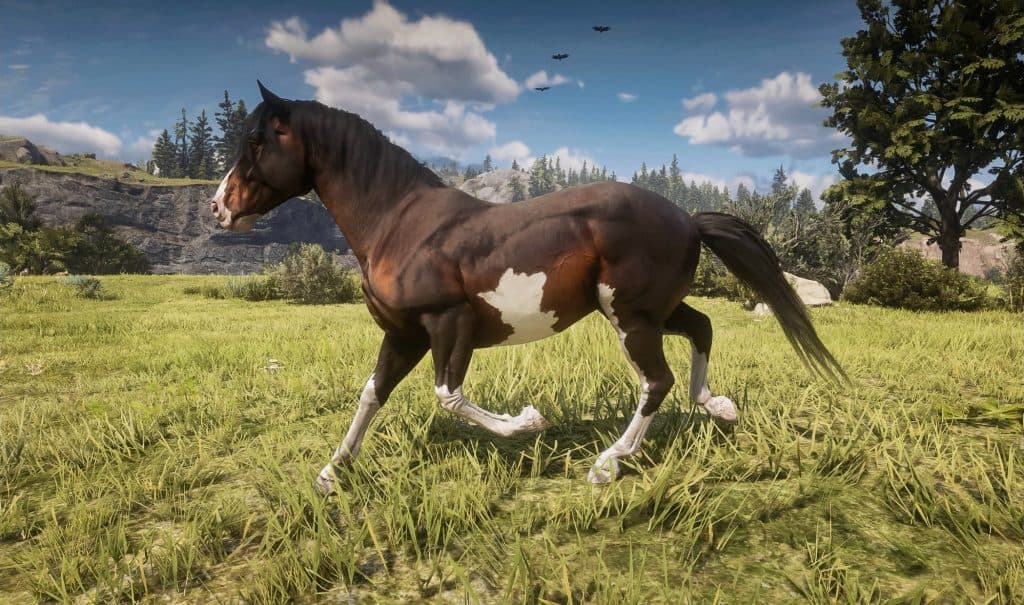 RDR2 Horse Texture Ytd Resource Guide Red Dead Redemption 2 Mod   RDR2 Horse Texture Ytd Resource Guide 2 1024x605 